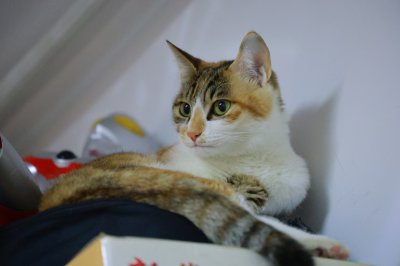 IMG_1754