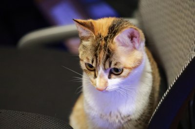 IMG_2362